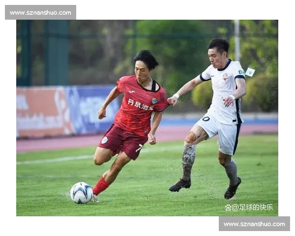 广西恒宸加冕中乙冠军！1.6 万人见证八桂足球历史性时刻
